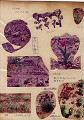 f7705 (03)_thumb.jpg